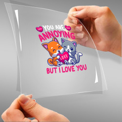 You Are Annoying But I Love...