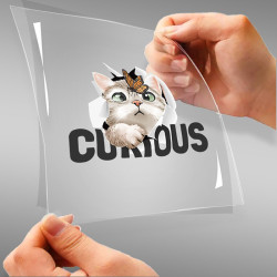 Curious A4 StickZing